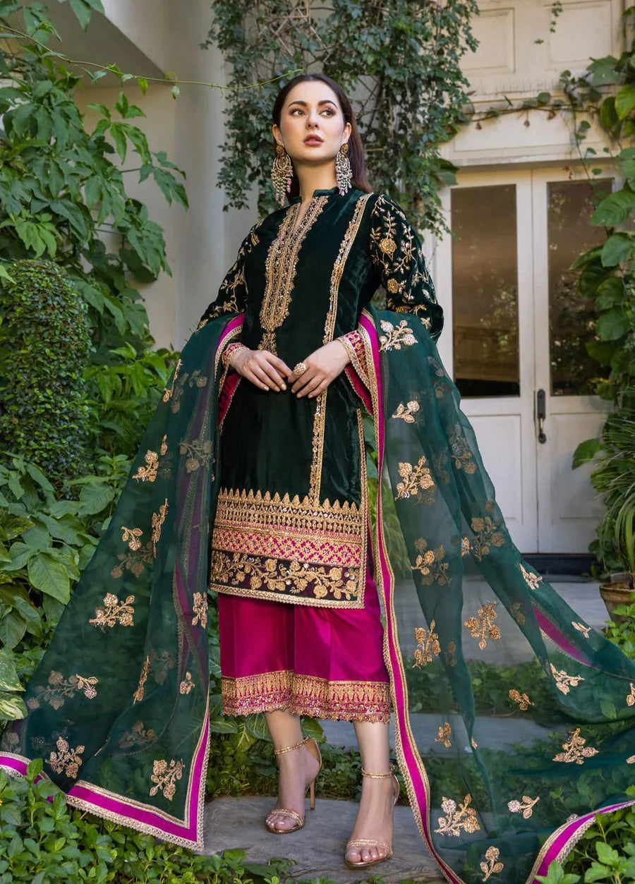 Shop Velvet Lace Online In Pakistan - Designer Lace and Fabric
