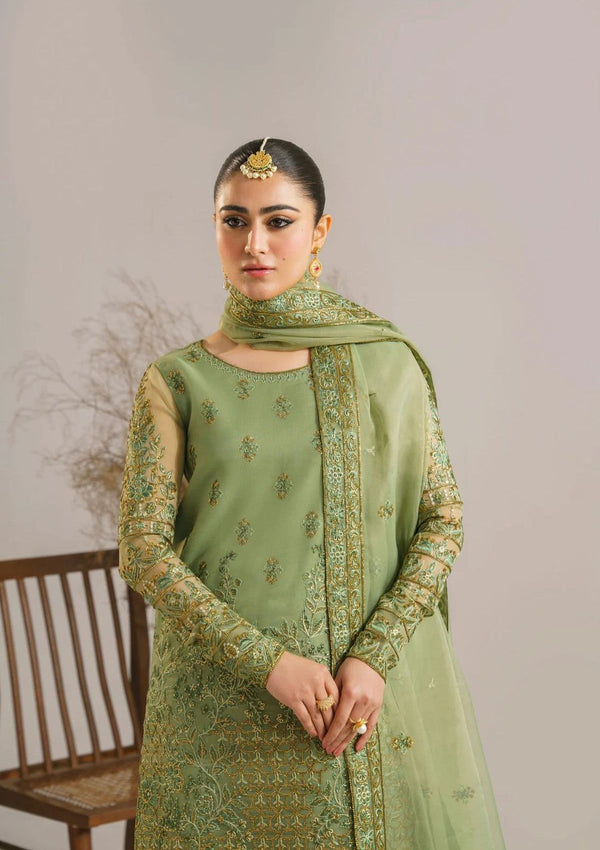 Best Organza Dresses Online in Pakistan