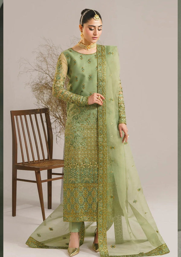 Best Orgaza Dresses Online in Pakistan
