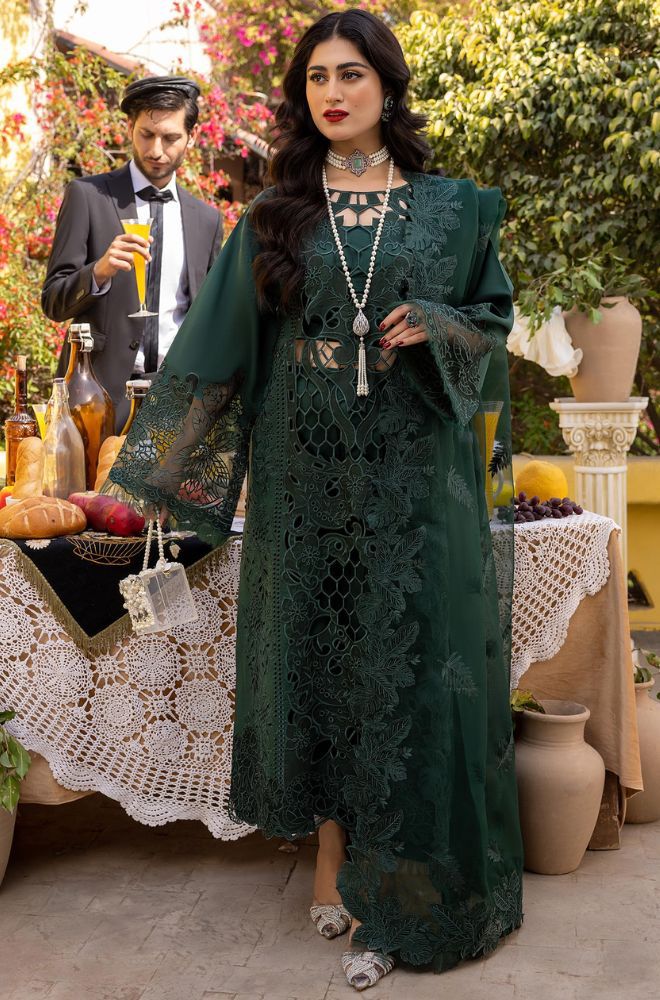 Buy Bin Ilyas Brand Dresses for Women Online in Pakistan