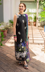 ASIFA NABEEL LAWN COLLECTION 2024