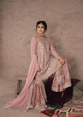 Sara Khan Haseens Peach Formal Collection Chiffon Gharara Design No : 1648