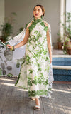 Asifa & Nabeel | Meraki Summer Lawn - D 1805