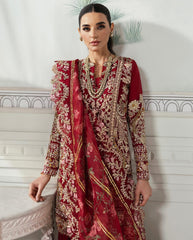 Best Organza FDresses In Pakistan 