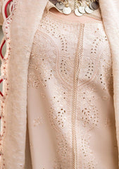 Best Lawn Dresses Online in Pakistan 