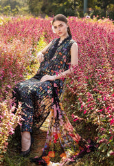 Best Lawn Dresses Online In Pakistan 