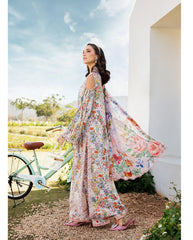 Best awn Dresses Online in Pakistan 