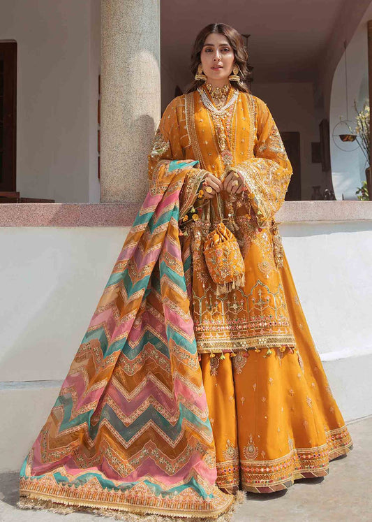 Best Organza Dresses Online in Pakistan 