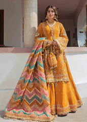 Best Organza Dresses Online in Pakistan 