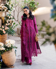 Best Lawn Dreses Online in Pakstan 