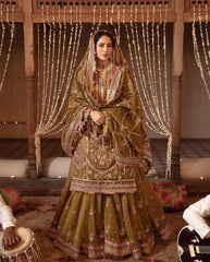 MNR MOHSIN NAVEED RANJHA NET GHARARA  Design No : 1371