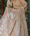 MNR MOHSIN NAVEED RANJHA NEW ARRIVALORGANZA GHARARA Design No : 1393