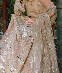 Best Organza Dresses Onliine in Pakistan 