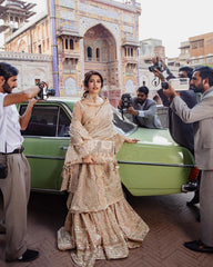 Best Organza Dresses Onliine in Pakistan 
